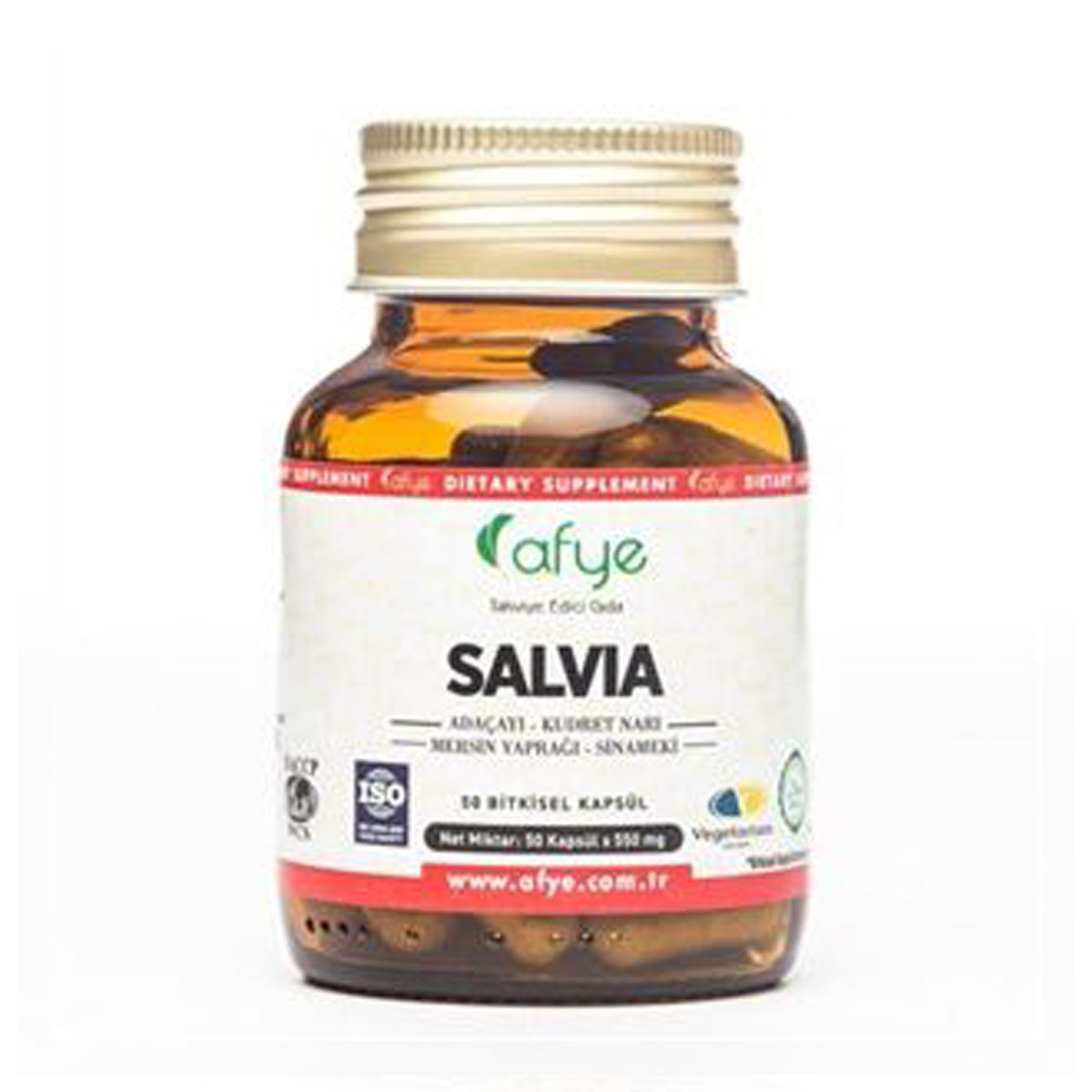 Salvia